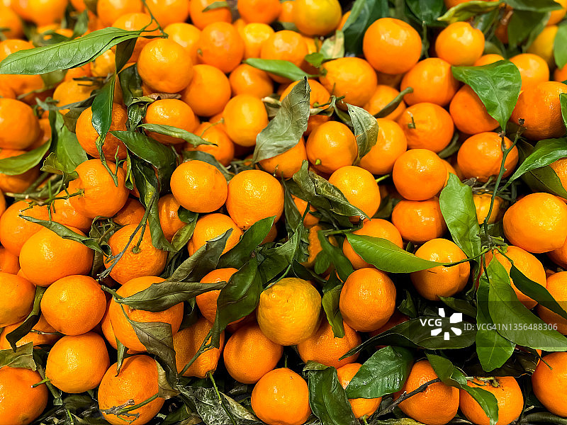 市场上成堆的新鲜有机柑橘图片素材