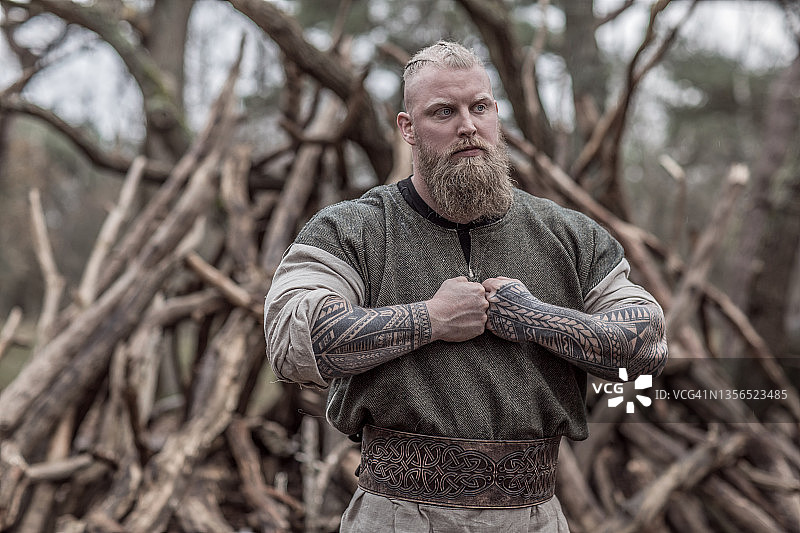 森林里的维京战士国王图片素材