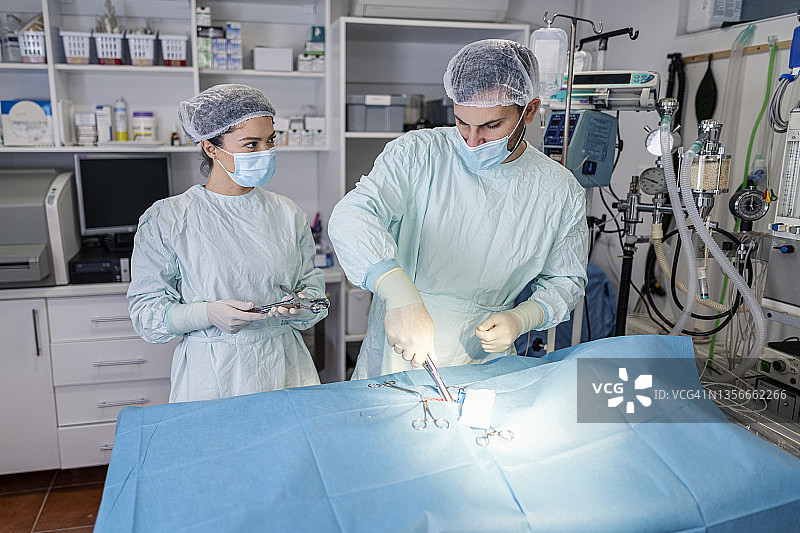 男女外科医生给狗做手术图片素材
