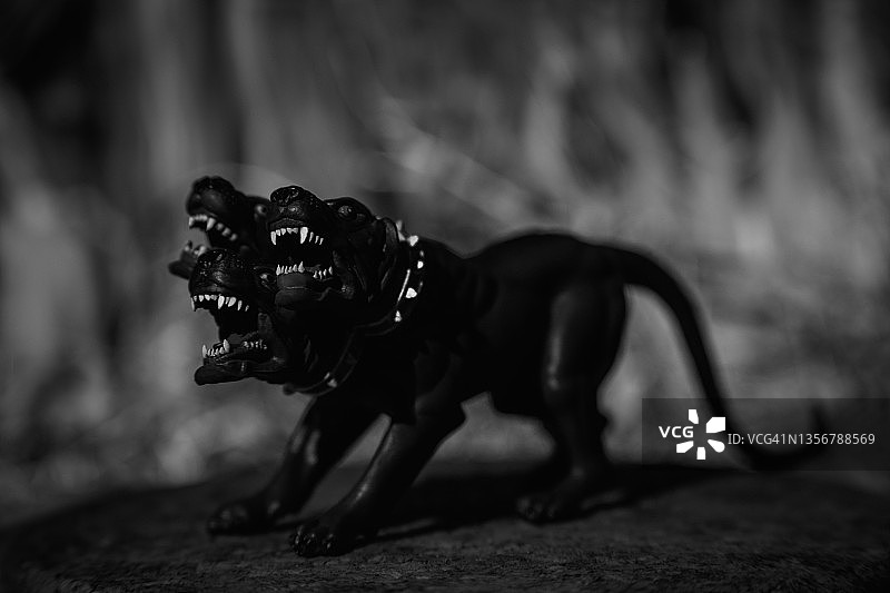 三头犬图片素材