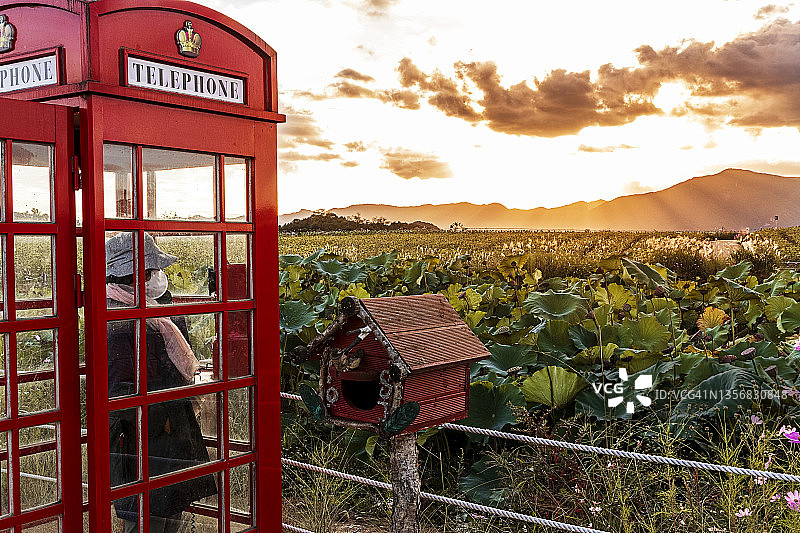 电话亭和花坛图片素材
