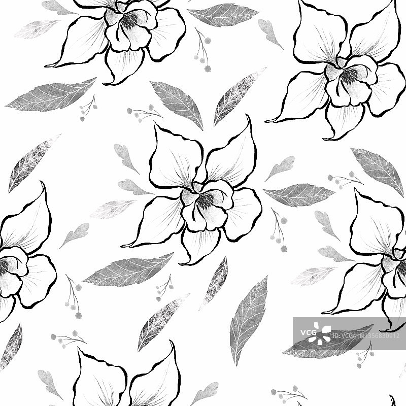 耧斗菜（奶奶的帽子）图片素材