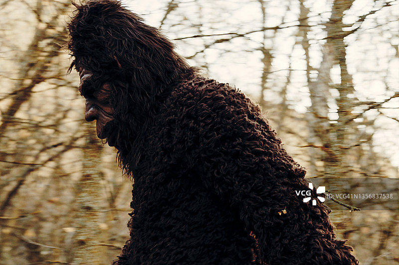 森林中的大脚怪图片素材
