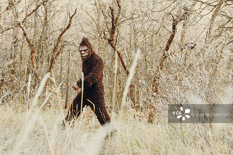 森林中的大脚怪图片素材