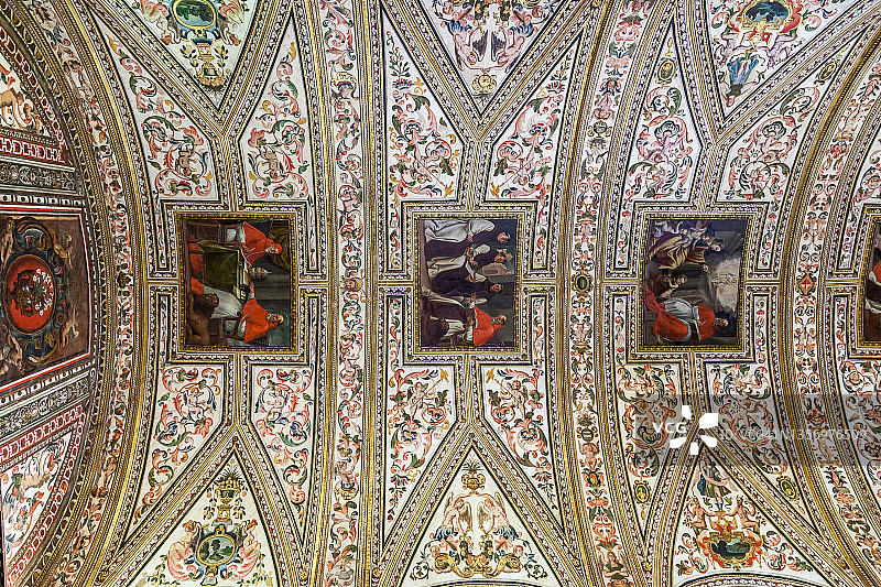 瓜达卢佩圣玛利亚修道院的华丽天花板图片素材