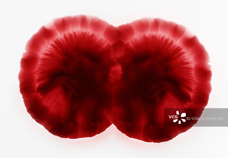 红色油漆在白色画布上滑动图片素材