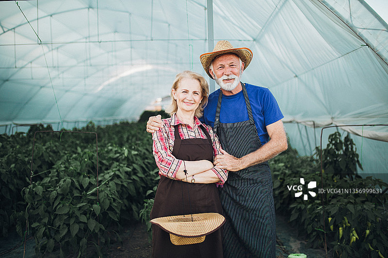 快乐的年长农民夫妇在花园里劳作图片素材