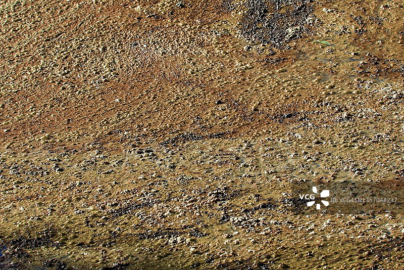 漂浮的油脂和污垢污染水域图片素材