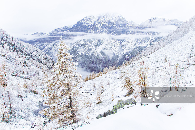 冰冻的冬季景观图片素材