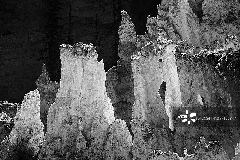 布莱斯峡谷黑白特写：神奇的石林结构图片素材