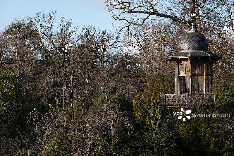 森林里的售货亭图片素材