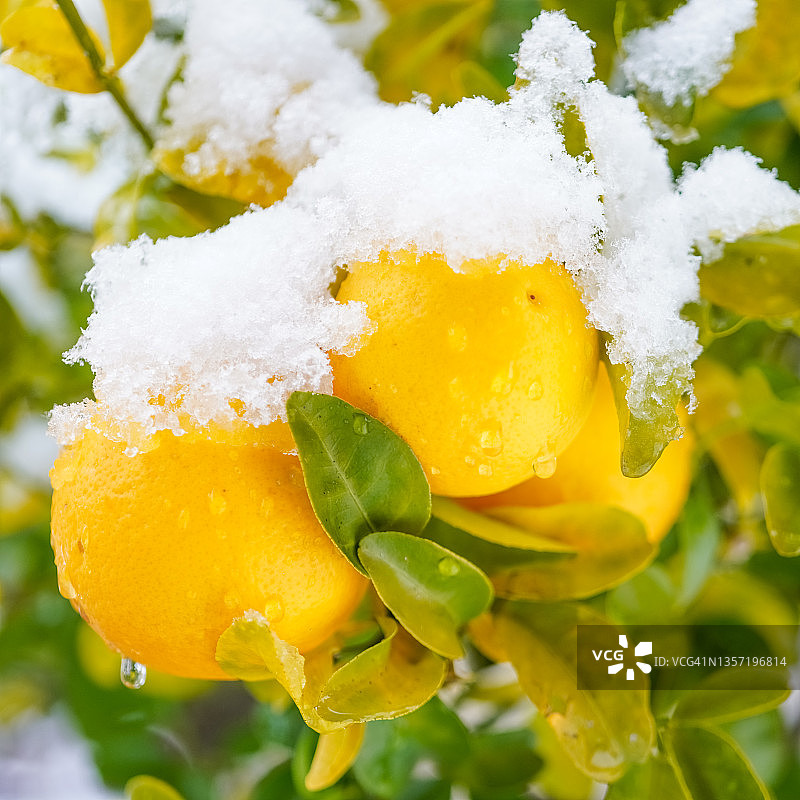 我的冬装外套图片素材