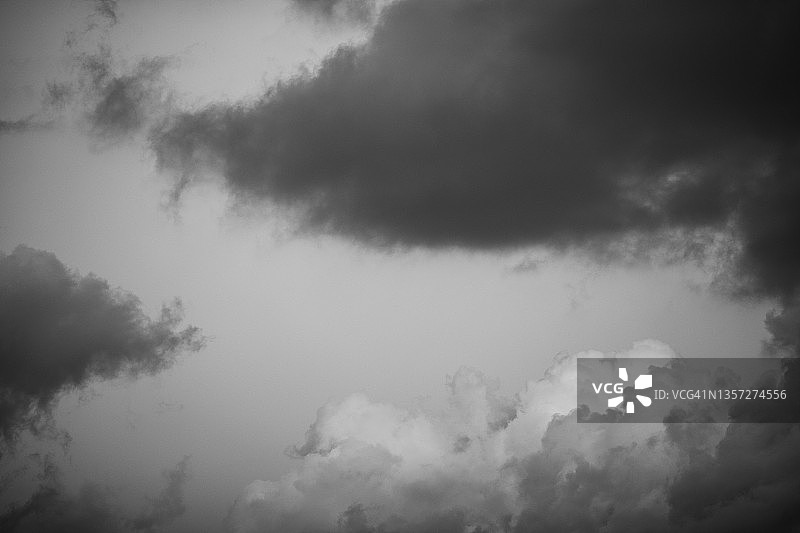 充满活力的自然图像图片素材