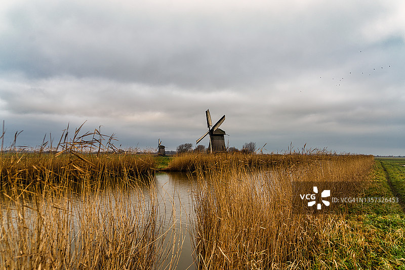 典型的荷兰圩田景观，有风车、云和堤坝图片素材
