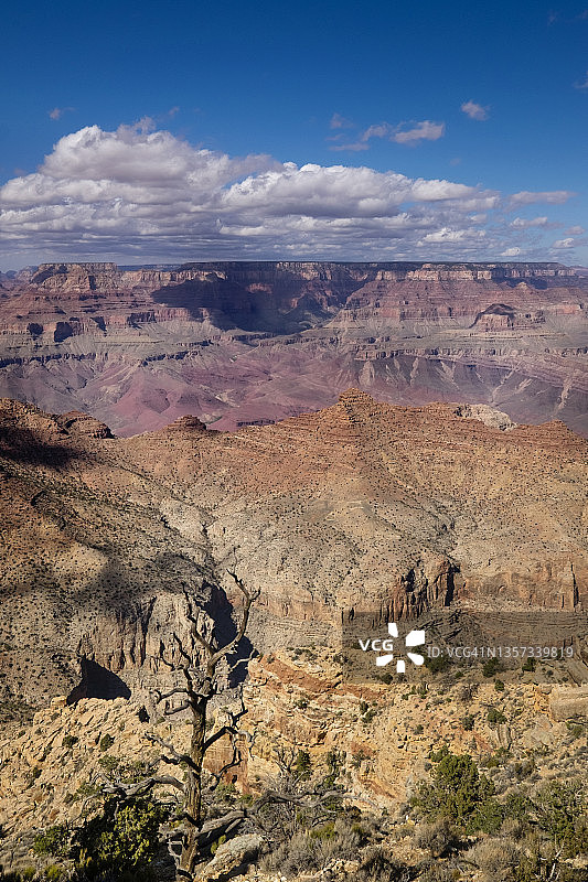 大峡谷南缘岩层垂直景观图片素材
