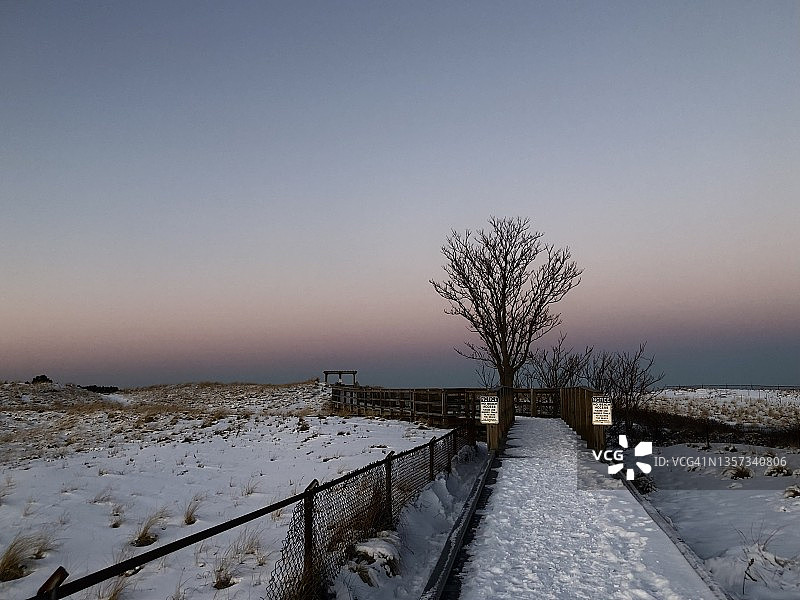 李子岛图片素材