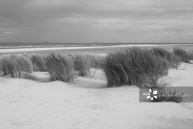 北海沿岸沙丘景观，位于德国下萨克森州图片素材