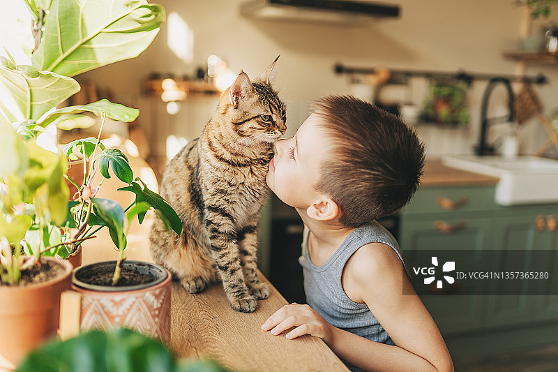 儿童与小猫玩耍图片素材