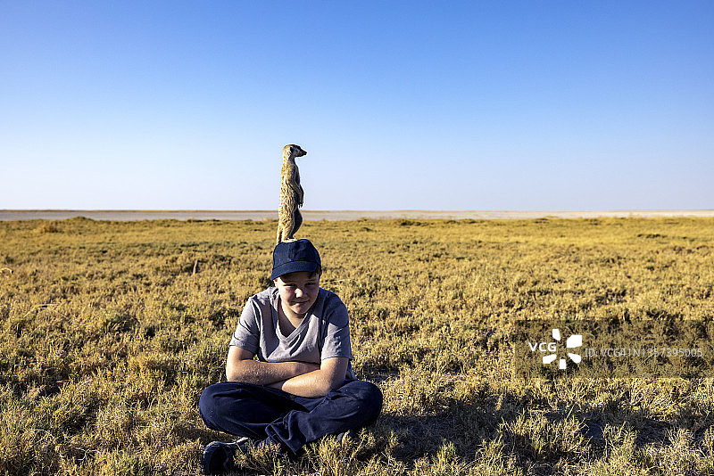 有趣的可爱动物：小男孩游客与站在他头上的猫鼬的特写图片素材
