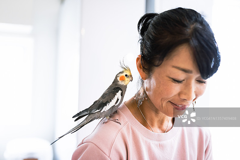 母亲和女儿和宠物在客厅里放松图片素材