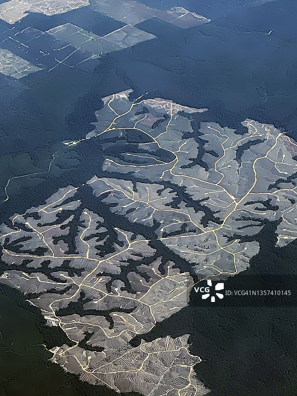 苏门答腊棕榈油森林砍伐图片素材