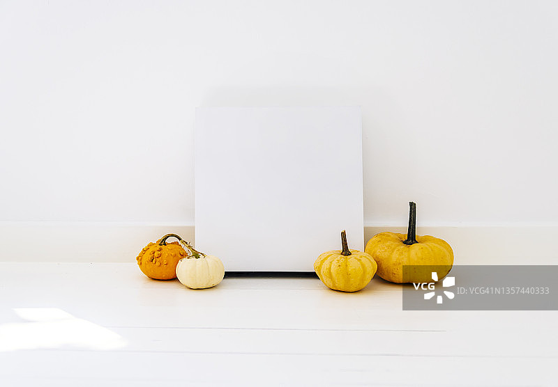 感恩节简约平铺构图图片素材