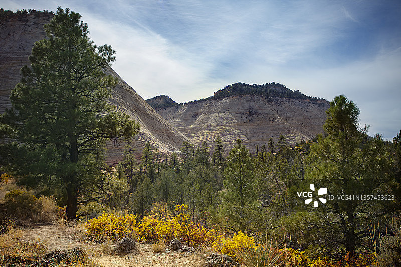 锡安国家公园秋色蓝天棋盘山背景图片素材