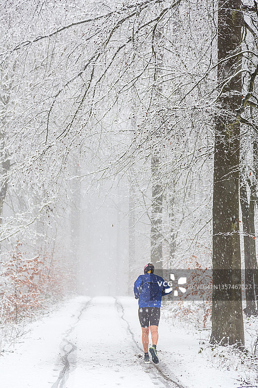 在雪中榉树林跑步的男人图片素材