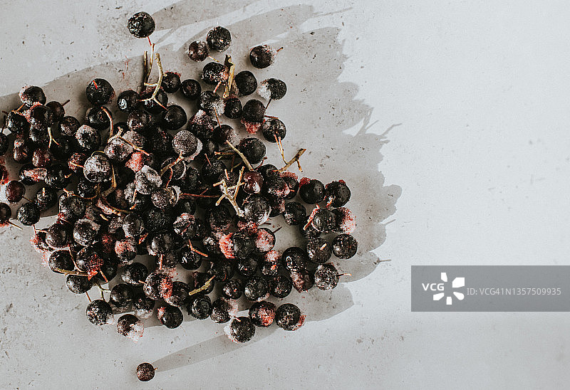 白色大理石面上散落的冷冻黑果腺肋花楸俯视图图片素材