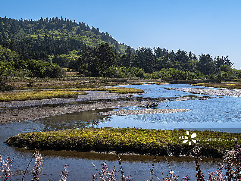 锡特卡苔草州立自然保护区 (6)图片素材
