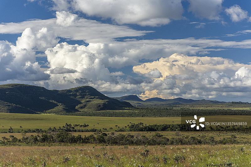 巴西戈亚斯州维阿代鲁斯大草原的塞拉多景观图片素材