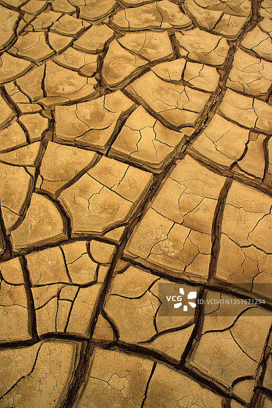 佐治亚州干旱池塘中干涸泥土的几何图案图片素材