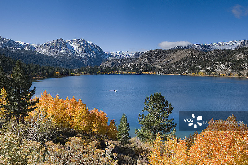 加利福尼亚州内华达山脉六月湖畔的黄色秋季白杨树和雪山图片素材