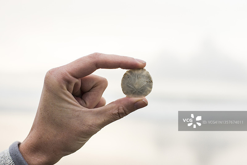 女人手指间夹着一个沙钱图片素材