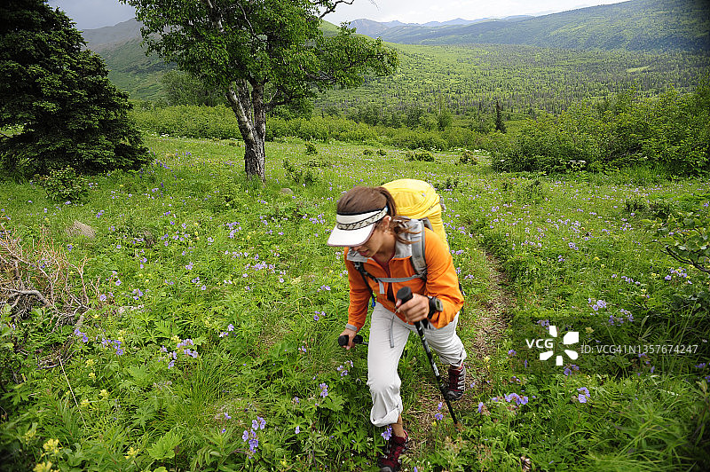 在阿拉斯加州安克雷奇附近楚加奇州立公园徒步旅行的背包客图片素材