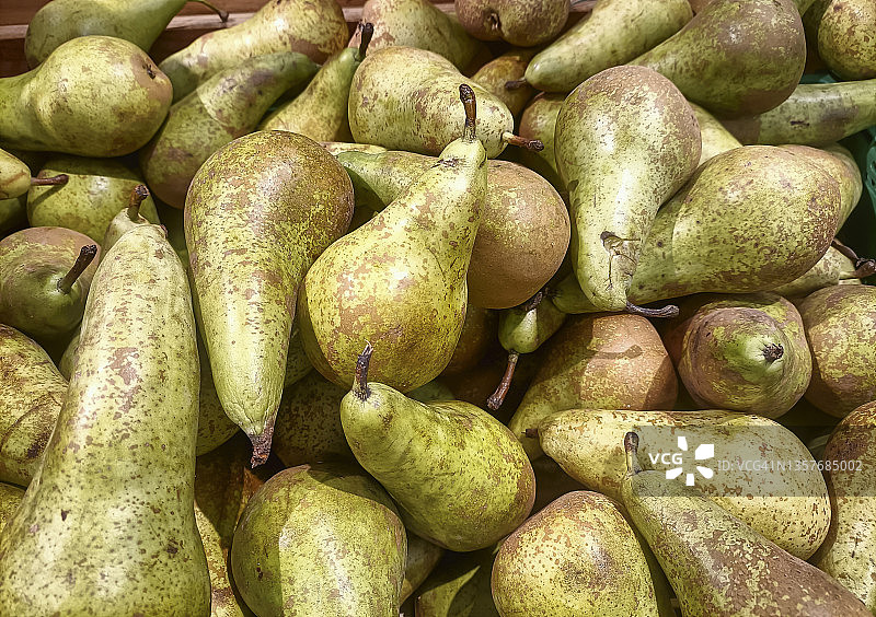 会议梨图片素材