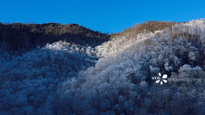 山上的雪景树木图片素材