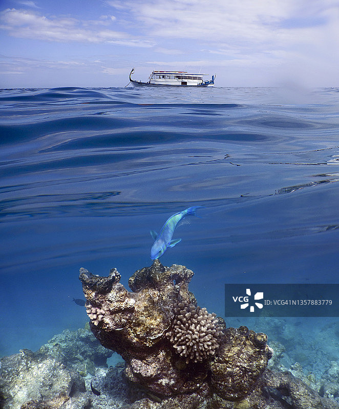 带多尼船和鹦嘴鱼的马尔代夫泻湖错层图片素材
