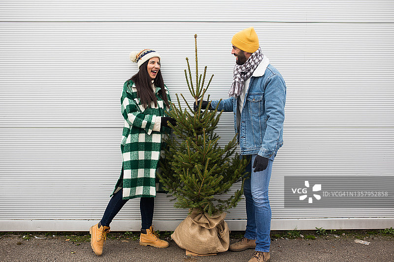 我们家完美的圣诞树图片素材