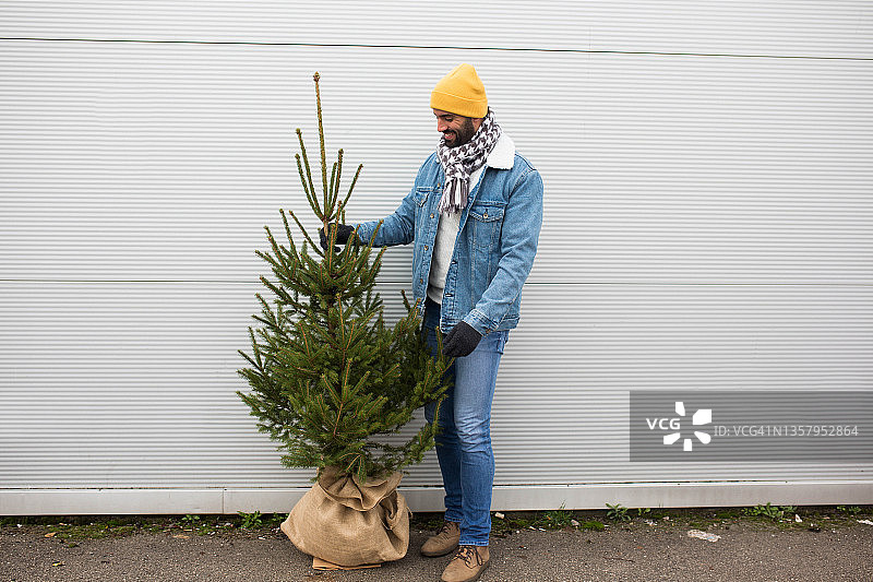 我们家完美的圣诞树图片素材