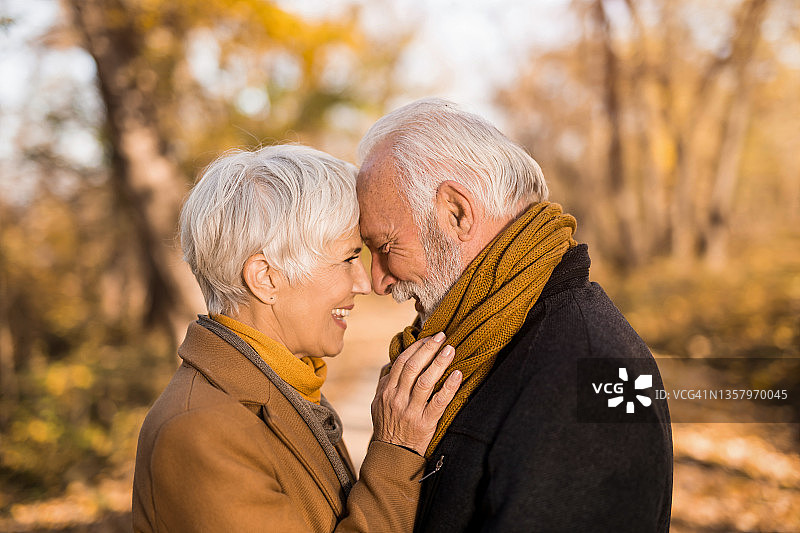快乐的老年夫妇在美丽的秋日户外拥抱。图片素材
