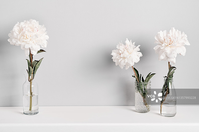 优雅白色牡丹花艺 桌面背景图片素材