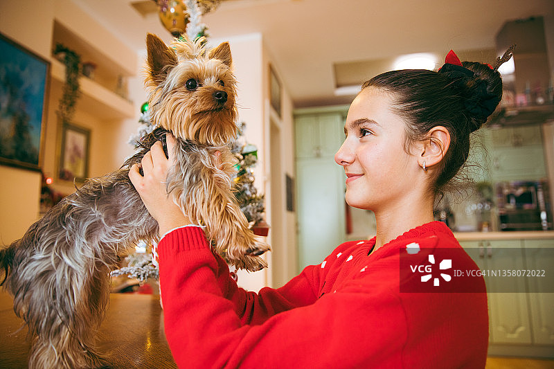 和她的狗狗共度圣诞时光图片素材