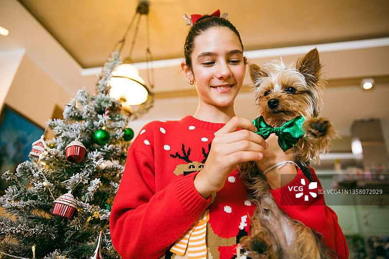 和她的狗狗共度圣诞时光图片素材