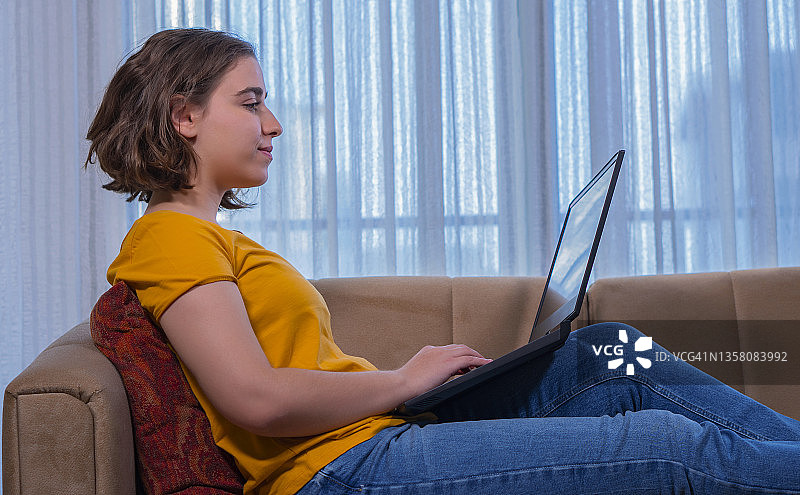 年轻女人坐沙发用笔记本电脑上网图片素材