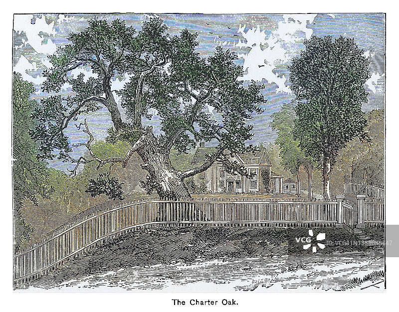 哈特福德宪章橡树西侧景观老式雕刻插图图片素材