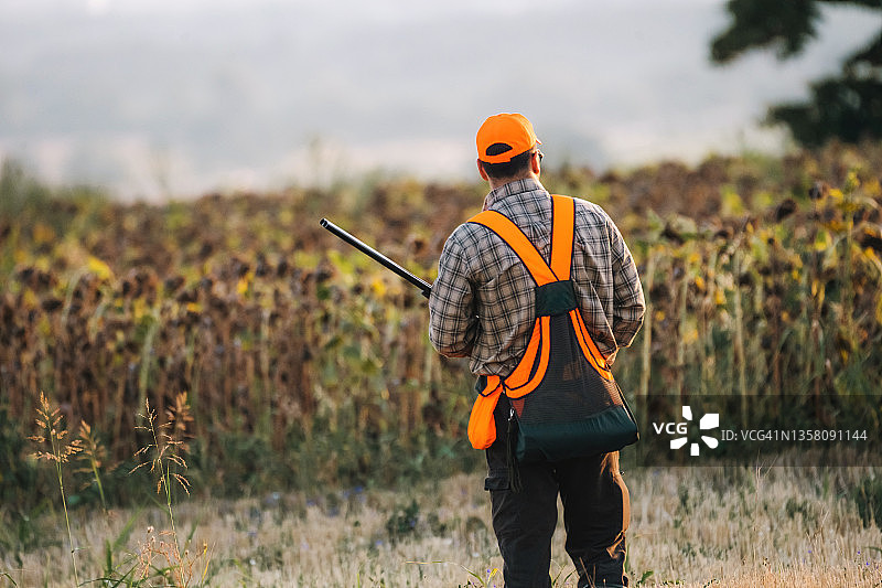 高地鸟类狩猎图片素材