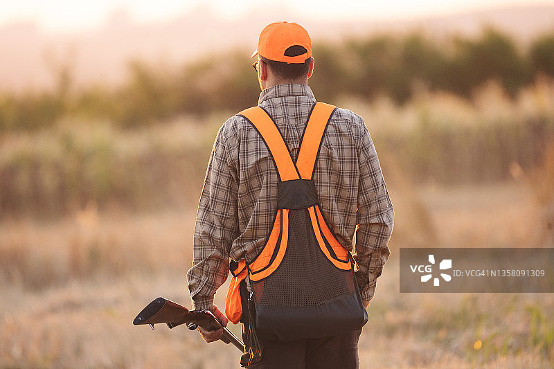 高地鸟类狩猎图片素材