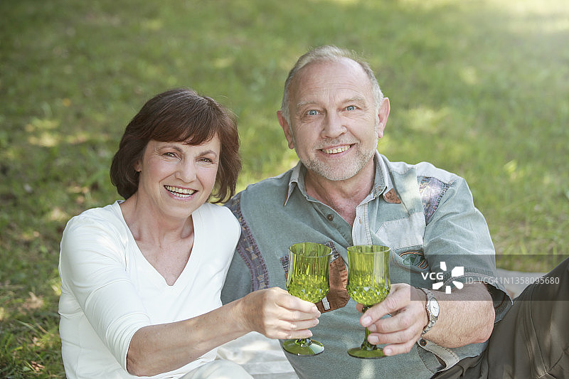 老年夫妇对着镜头敬酒图片素材