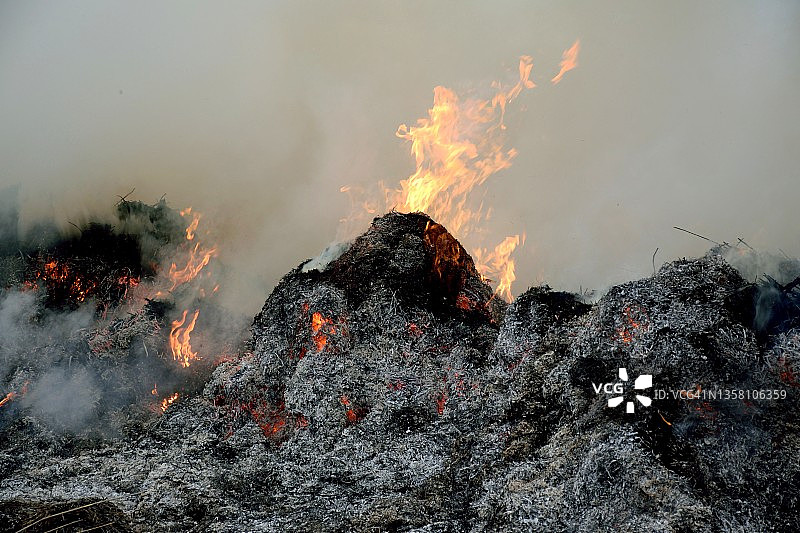 农业废弃物焚烧图片素材
